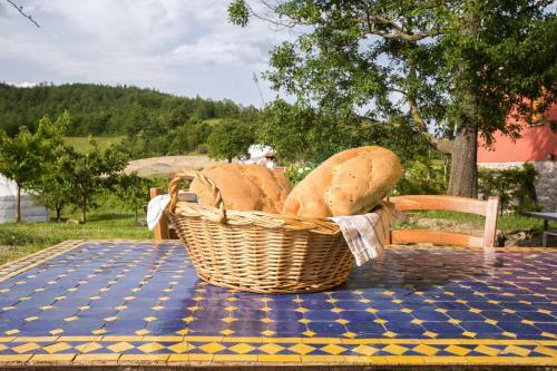 Agroturismo Societ� Agricola Cacigolara