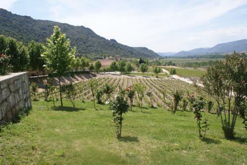 Agroturismo Quinta Da Terrincha