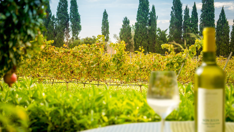 Son Julia Country House Hotel & Spa