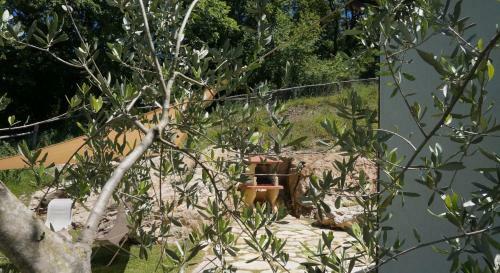 Agroturismo Poggio La Croce