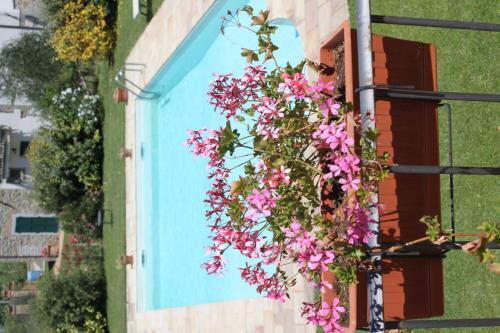 Agroturismo Le Casine