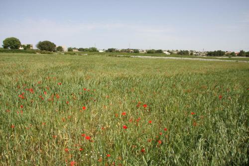 Agroturismo Casa Vacanze La Gebbia