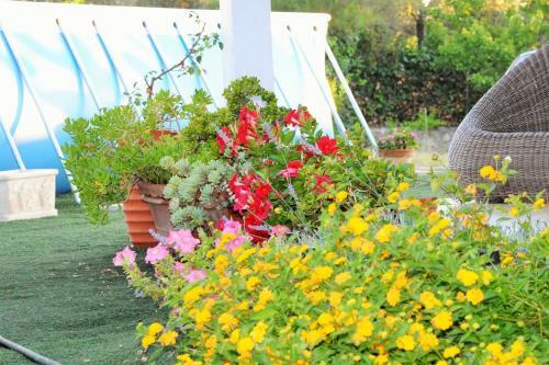 Agroturismo Villaiale