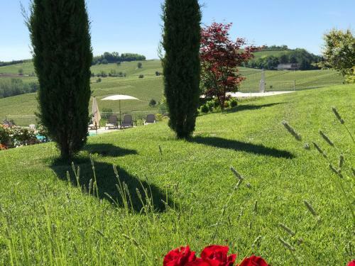 Hotel Naturalmente Wine Resort