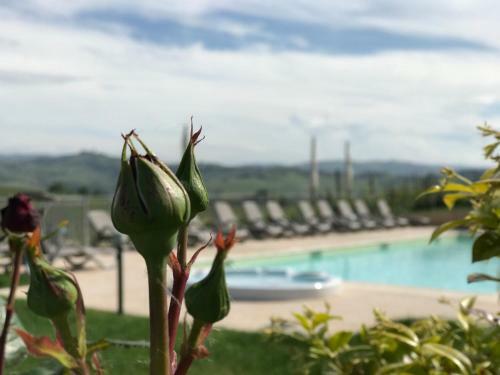 Hotel Naturalmente Wine Resort
