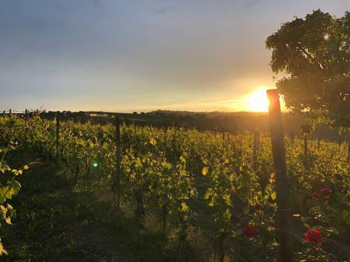 Hotel Naturalmente Wine Resort