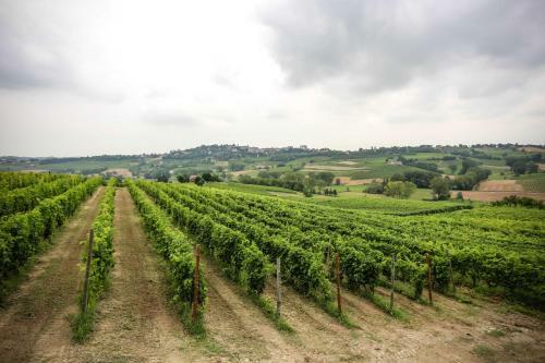 Hotel Naturalmente Wine Resort