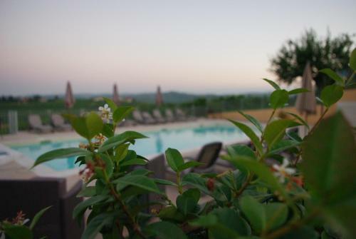 Hotel Naturalmente Wine Resort