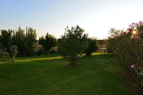 Hostal Agriturismo Podere Micitto