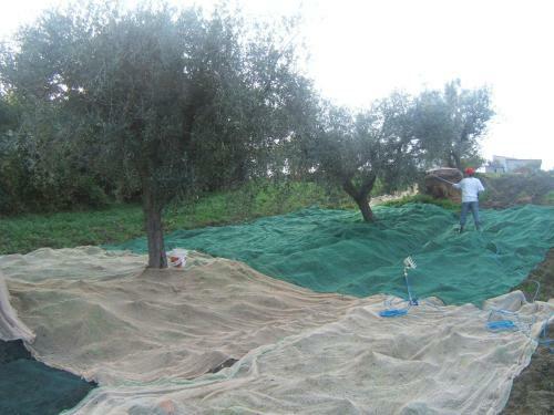 Hostal Agriturismo Il Vecchio Carro