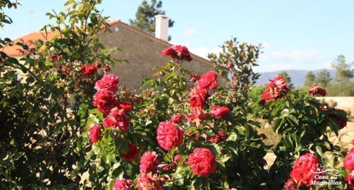Agroturismo Casa Das Magnolias