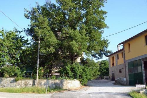 Agroturismo Agriturismo I Fondacci