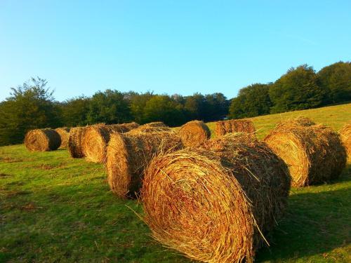 Agroturismo Urruska