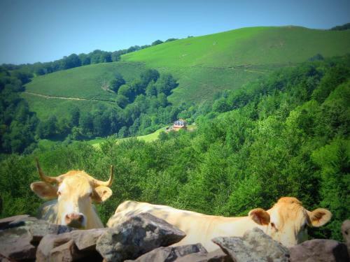 Agroturismo Urruska