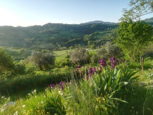 Agroturismo B&B Casa Della Musica