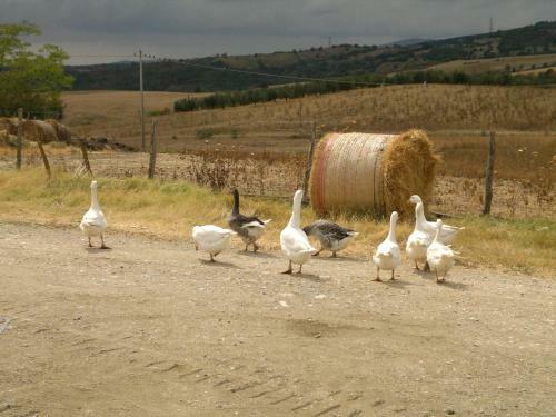 Agroturismo Poggio Mario