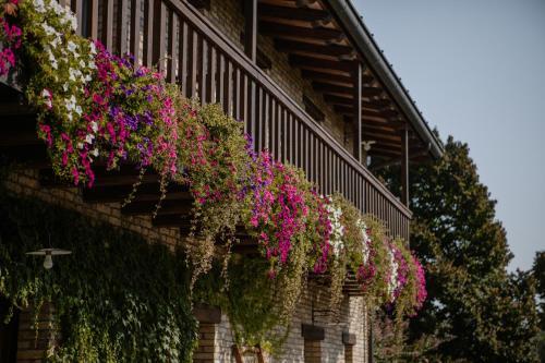 Agroturismo Agriturismo Albafiorita