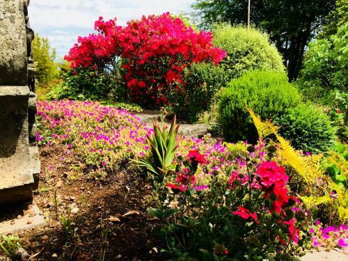 Agroturismo Quinta Das Faias