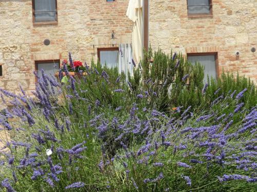 Agroturismo La Pieve Di San Martino
