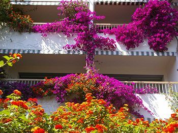 Hotel Pietracap