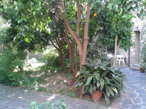 Agroturismo Casa Rural Corvina