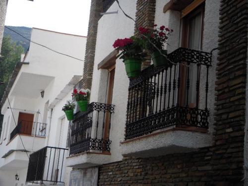Apartamento Casa Rosa