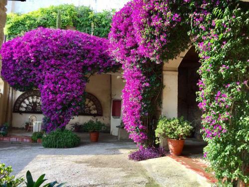 Apartaments Can Gibert