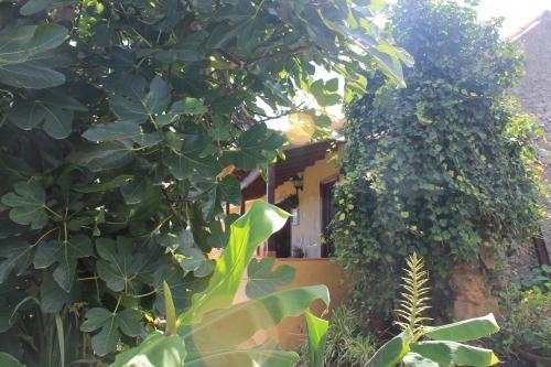 Casa Rural Las Rosas