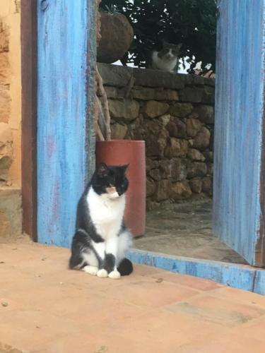 Bed & Breakfast El Agua Casa De Huespedes