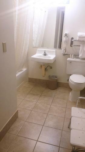 Alex Hotel And Suites