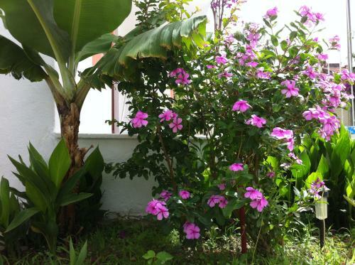 Hotel Flower Villa Apart