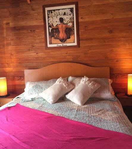 Lodge Caba�a Ruca Quimey