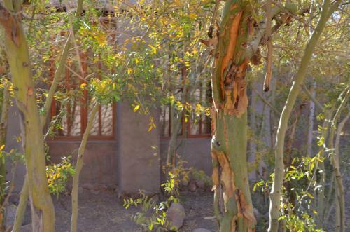 Hotel La Aldea