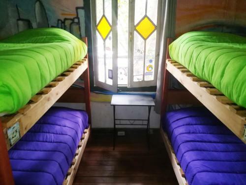 Hostal Gnomo Hostel