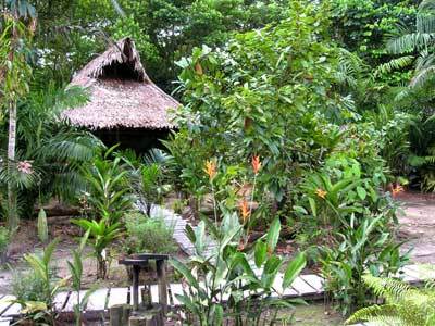 Hostal Reserva Natural Heliconia Amazonas