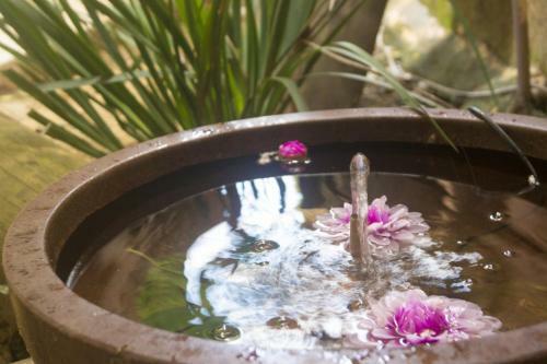 Hostal Espa�o Nativo