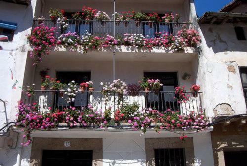 Agroturismo Hotel El Yedron