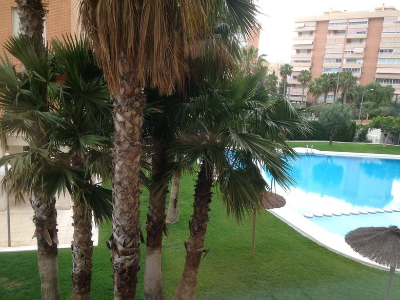 Apartment Playa San Juan