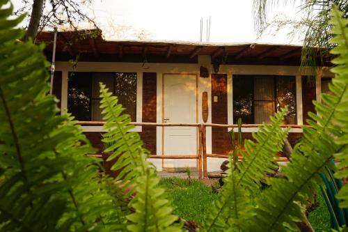 Hostal Rochabus