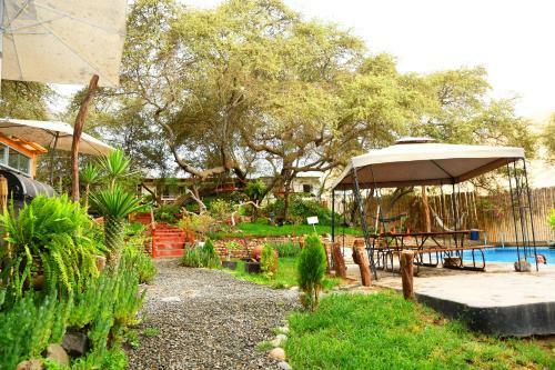Hostal Rochabus