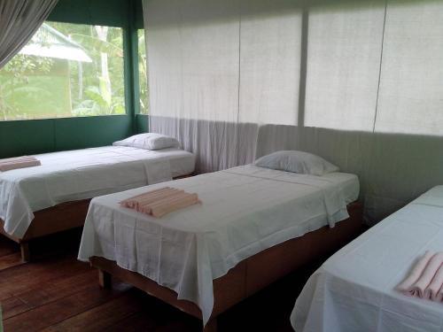 Jungle Explorer Lodge