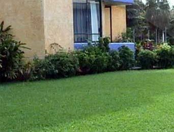Hotel Fontan Ixtapa