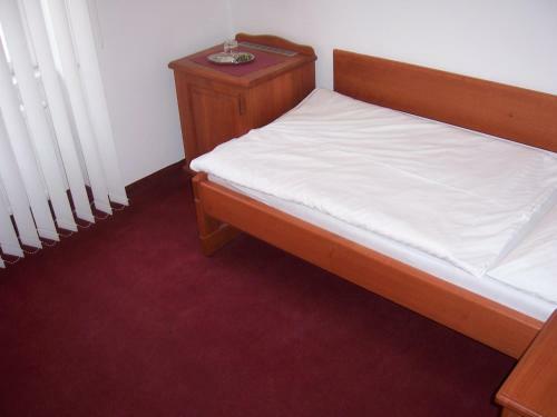 Hotel Pegas Brno