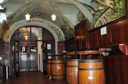 Hotel Pegas Brno