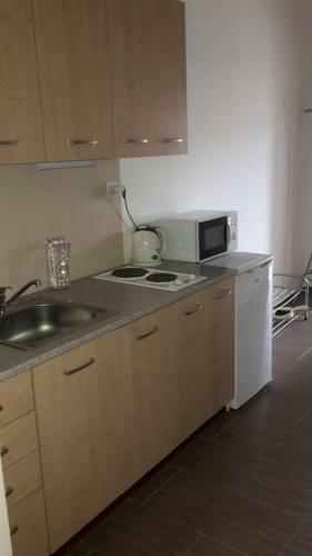 Apartment Brno