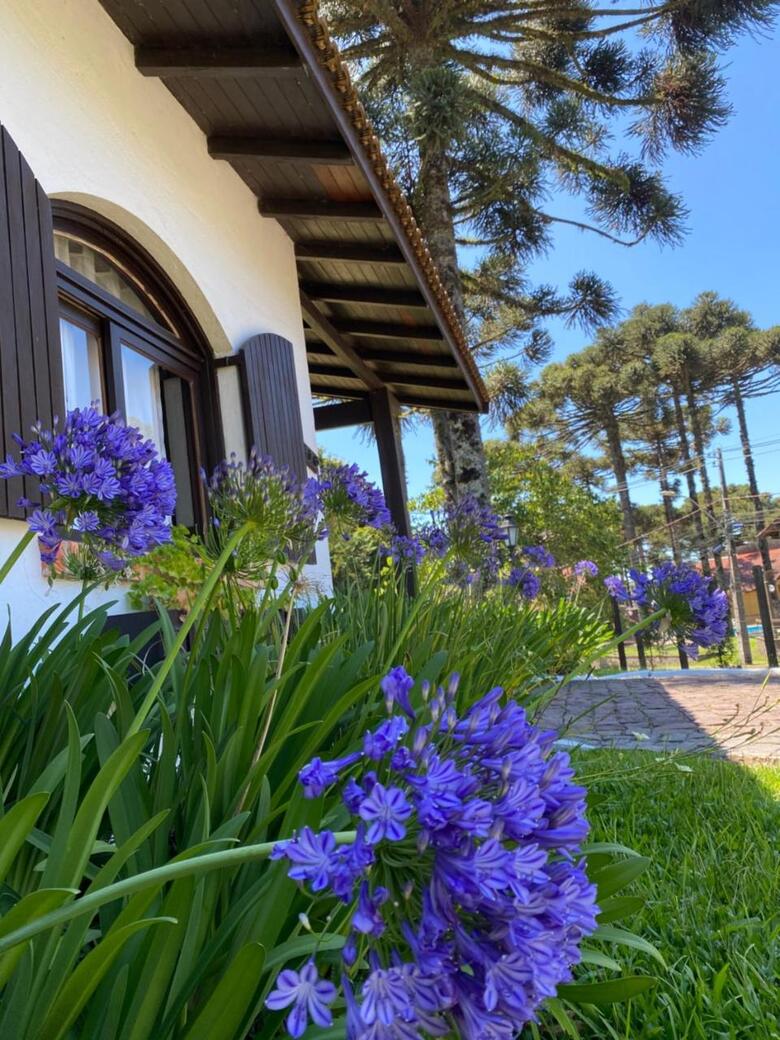 Vila Suzana Parque Hotel