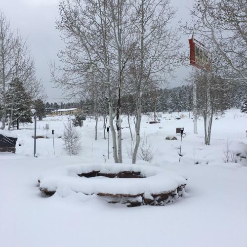 The Canyon Motel & Rv Park