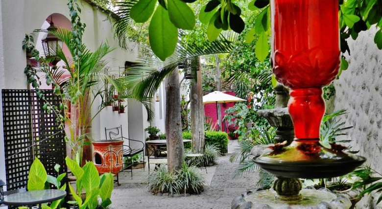 Rosa Morada Bed & Breakfast