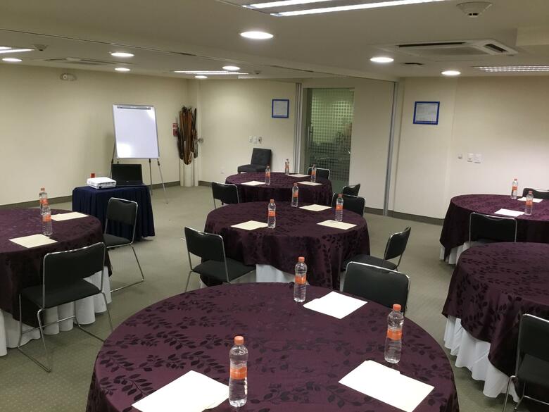 Hotel Holiday Inn Express Guadalajara Expo