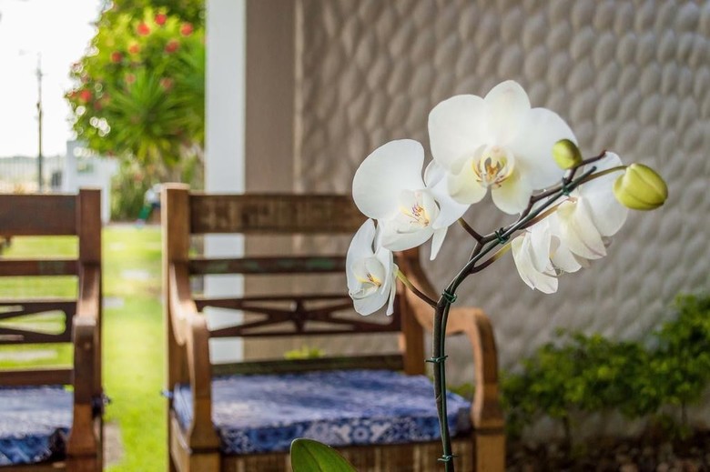 Hotel Village Para�so